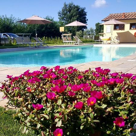 Punta Dei Lecci Villa Riparbella Eksteriør bilde