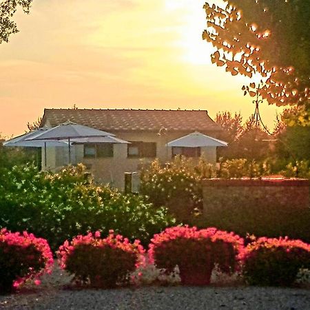 Punta Dei Lecci Villa Riparbella Eksteriør bilde