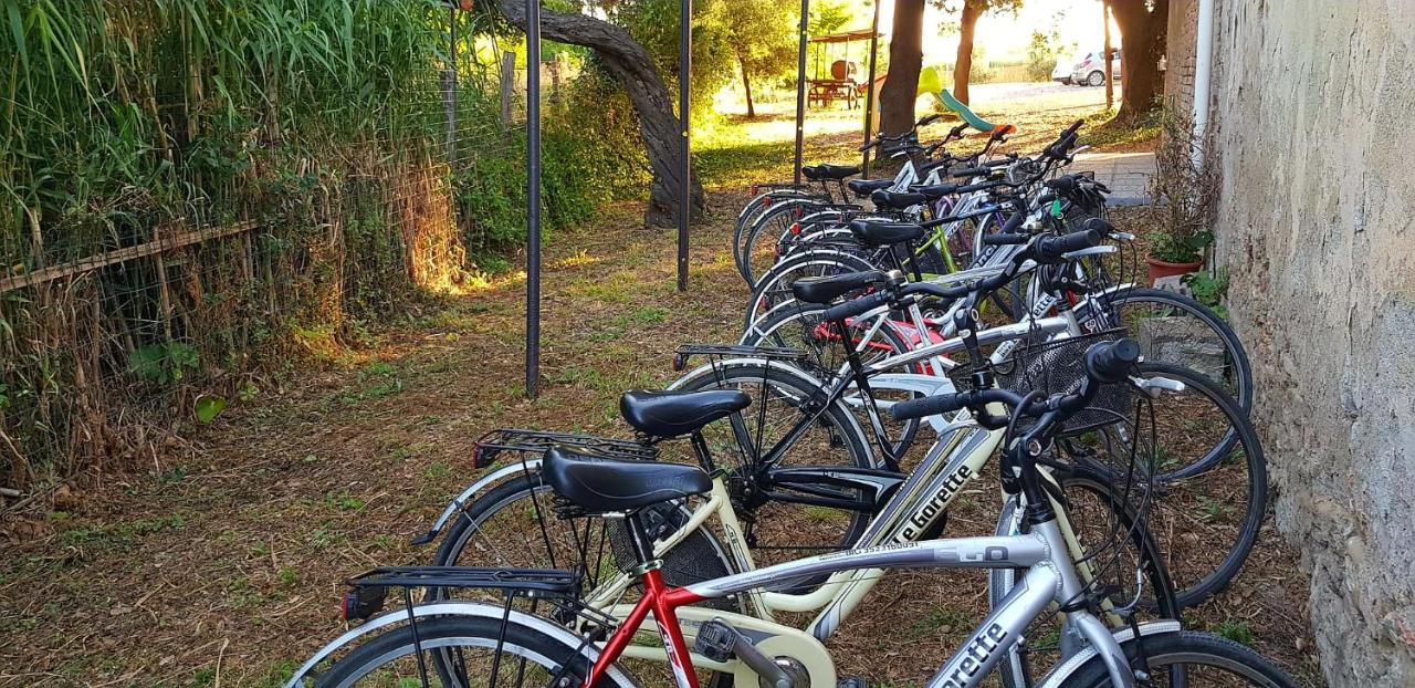 Punta Dei Lecci Villa Riparbella Eksteriør bilde