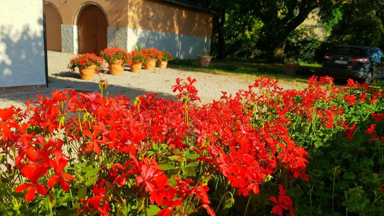 Punta Dei Lecci Villa Riparbella Eksteriør bilde