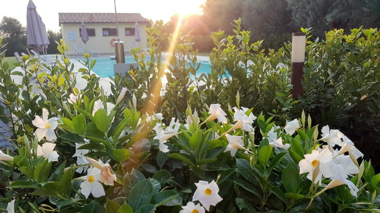 Punta Dei Lecci Villa Riparbella Eksteriør bilde