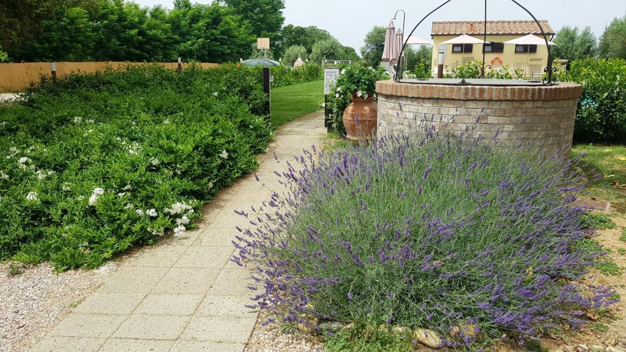 Punta Dei Lecci Villa Riparbella Eksteriør bilde