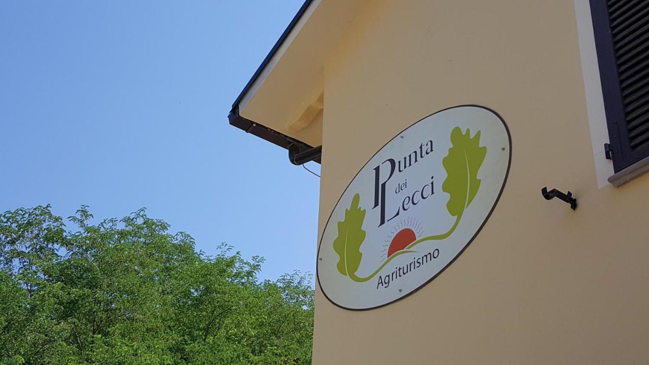 Punta Dei Lecci Villa Riparbella Eksteriør bilde